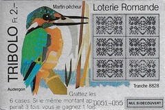 Tribolo lottery tickets